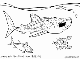 Octonaut Whale Shark Coloring Page Shark Coloring Pages Whale Coloring Pages Fish Coloring Page