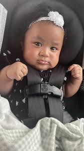 Has anyone seen the lost dog named Princess?