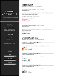 Op zoek naar goede voorbeelden van storytelling? Premium Cv Voorbeeld Microsoft Word