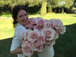 Carnations, daisies, irises, lilies, orchids, roses, sunflowers Town Country Gardens Home Facebook