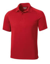 T475 Sport Tek Mens Dry Zone Raglan Accent Polo