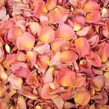 Pin On Petals