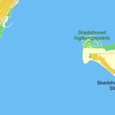 Bildergebnis für Karin Schou Andersen