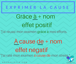 La Cause Grace A A Cause De Fle Apprendre Le Francais Vocabulaire