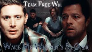 Team Free Will 2.0