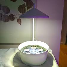 Ebb and flow hydroponic systems are a great way to get started in hydroponics and make a wonderful educational project for children. Github Aabmar Bittergurka Insert Hydroponics Insert For Ikea Bittergurka