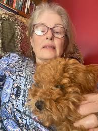 Introduction and photo of puppy Hurricane Hugo