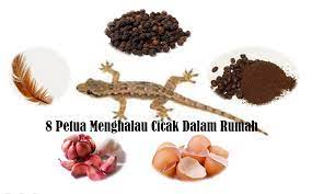 Stres kalau rumah banyak semut ni. Perangkap Cicak Dalam Rumah