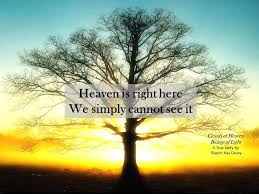 Quote From The Book Clouds Of Heaven Beings Of Light Clouds Heaven Dark Places