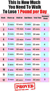 Pin On Guide To Lose Weight
