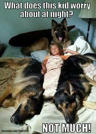 Pin By Cipi Firo Maister On Tpa Funny Animal Pictures Funny Animals Cute Animals