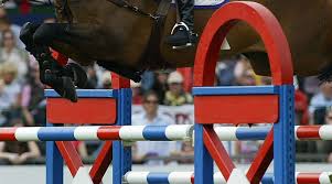 Best horse fails of 2019! Two Year Suspension For Failed Drug Test In Italian Showjumping Horse News Horsetalk Co Nz