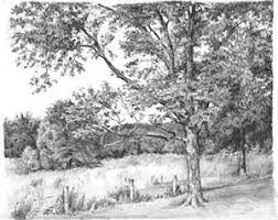 Für bäume ist der sauere regen besonders gefährlich, weil sie lange leben und nur langsam wachsen. Einen Baum Baume Wald Zeichnen Anleitung Diane Wright Wie Malt Man De Zeichnen Lernen Malen Lernen Online Malkurs Mit Acryl Und Olfarbe Malenwie Malt Man De Zeichnen Lernen Malen Lernen Online Malkurs Mit Acryl Und Olfarbe Malen