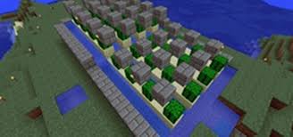 How about it makes lime dye? Creating Killer Cacti How To Make A Cactus Farm In Minecraft Minecraft Wonderhowto