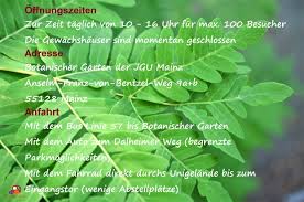 Maybe you would like to learn more about one of these? Botanischer Garten Der Jgu Mainz Diereiseeule
