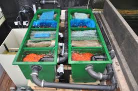 Used Products Kolam Ikan Kreatif Ikan