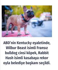 Melek Bebekler Panosundaki Pin
