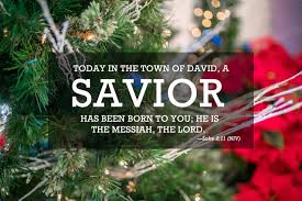 Image result for xmas greetings images