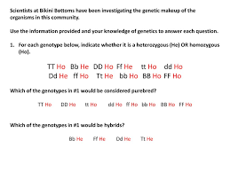 He recently married a blue sponge gal. Spongebob Genetics 1 2 To Be Used With Ppt Download