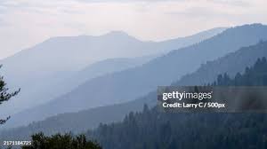 1,060 Larry Well Stock Photos, High-Res Pictures, and Images