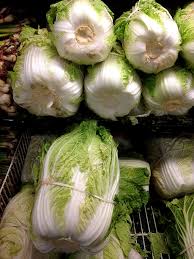 Image libre: napa, chou, Brassica rapa, pekinensis subsp