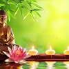 Green is for drawing luck and fortune. Https Encrypted Tbn0 Gstatic Com Images Q Tbn And9gctnjqh9aumgrgouy8cikbpm7t0cgfaae3pdv5povys Usqp Cau