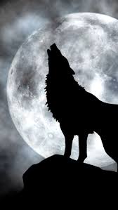 Hd Phone Wallpapers In 2020 Wolf Artwork Wolf Wallpaper Wolf Painting