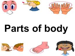 Then we talk about our body parts using visuals and integrating technology to introduce the target vocabulary words. Body Parts Vocabulary