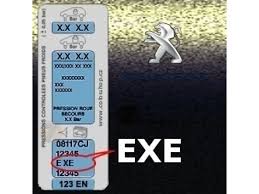 Image result for Noir Perla Nera 2011 Citroen