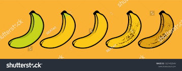 Banana Ripeness Chart Set Different Color Stock Vector