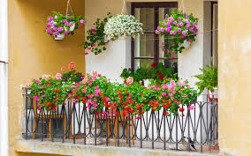 This site might help you. Difference Between Patio Balcony Deck Porch Veranda Zameen Blog