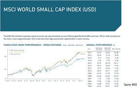 Small Cap Versus Large Cap Which Is Best