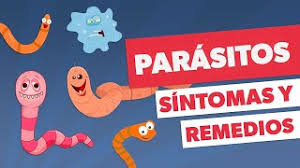 Comezon En El Ano Causas Tratamiento Y Remedio Casero Tua Saude