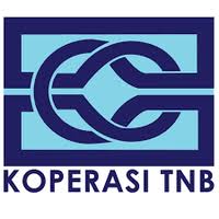 Download free tenaga nasional berhad vector logo and icons in ai, eps, cdr, svg, png formats. Koperasi Tenaga Nasional Berhad Overview Competitors And Employees Apollo Io