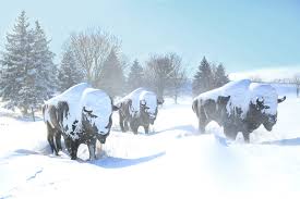 The weather probably matches portland closely, it's pretty miserable in the winter but the summer is glorious. Winter Weather Outlook 2019 Andy And Aaron S Predictions For The Season Ahead