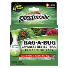 What is a japanese beetle trap? Spectracide Bag A Bug Japanese Beetle Trap Replacement Bags 6 Pack At Menards