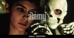 Die fabelhafte welt der amelie hi-res stock photography and images