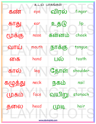 Clear sound is provided for all tamil animals , birds and body parts. Body Parts In Tamil For Kids 23 Parts Of The Body In Sinhala And How I Hired A New Voice Talent Free Printable For Kids Toddlers Preschoolers Flash Cards Charts Worksheets File Folder Busy Bag Quiet