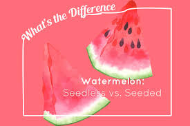 What S The Difference Between Seedless And Seeded Watermelons Kitchn
