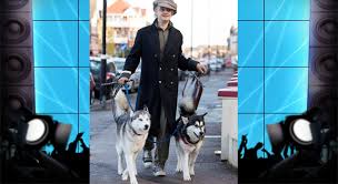 Pete Doherty Visits Woman Whose Cat Was Killed By His Huskies Poc