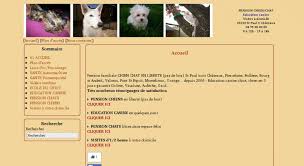 Chien courant norvégien chien courant polonais chien courant serbe chien courant slovaque chien courant suisse chien courant le seul site de garde fondé et suivi par un vétérinaire. Garde Chien 65 Garde De Chiens