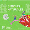 5 ciencias naturales quinto grado ciencias naturalessep alumno naturales 5.indd 1 08/03/11 13:44. Https Encrypted Tbn0 Gstatic Com Images Q Tbn And9gctlwhpsa5pvdv31tx0qwcu7c Skfanh5vaumefkpwcpcgik7rqa Usqp Cau