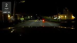 Meter reader pleads guilty after claiming PTSD from dog attack, caught  selling dogs