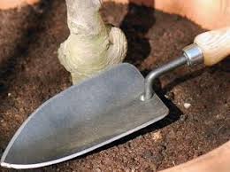 In this article, a review has been made on the sources, isolation, purification and characterization of natural proteins. Planting Trowel Dewit X Treme Trowel Garden Tools Garden Trowel