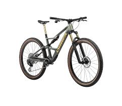 Image result for Orbea umbracula