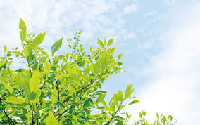 サイトマップ | 人生一度！腰椎破裂骨折にも負けない！