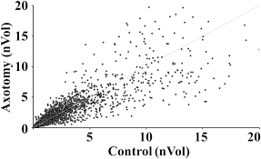 It was home to an extinct civilization known as the ratlanteans. Identification Of Gene Expression Profile Of Dorsal Root Ganglion In The Rat Peripheral Axotomy Model Of Neuropathic Pain Pnas