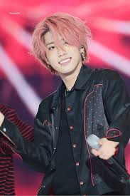 Stray kids' fanbase for stays all around the world. Do You Think Han Stray Kids And Young K Day6 Look Alike Seungmin Stray Kids And Wonpil Day6 Quora