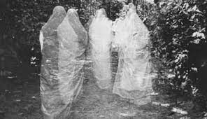 We did not find results for: Misteri Perkampungan Bunian Di Gunung Jerai Kosmo Digital