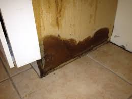 If you find out the kitchen cabinet water damage, you should think, can you fix it only glue in the first step simply. Water Damage Kitchen